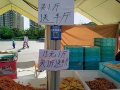 -海河外滩公园