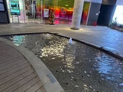 -瑞虹新天地月亮湾