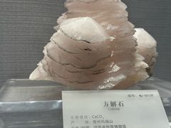 -湖南省地质博物馆