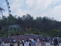 -大连森林动物园