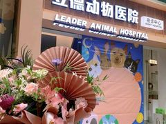 -立德24H动物医院·夜诊·转诊中心·1.5T核磁共振(海珠店)