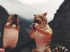 -太鲁阁公园