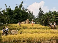 -云南民族村
