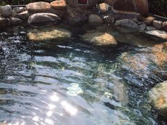 -凤翔首邑温泉度假村