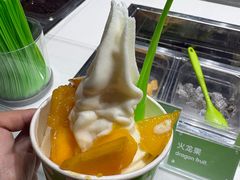 -Salud撒露欧洲冻酸奶(北苑上品店)