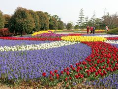 -上海鲜花港