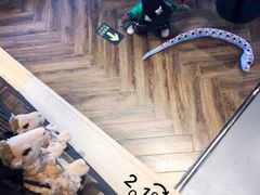 -ZOO COFFEE动物园咖啡(望京锐创店)