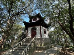 -上海佘山国家森林公园天马山园