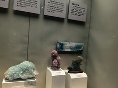-天津自然博物馆