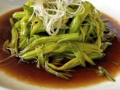 -白泽酒吧