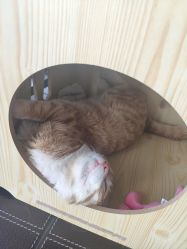 -久匠半永久纹眉