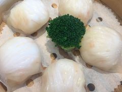 -金苑海鲜酒家(来魅力店)