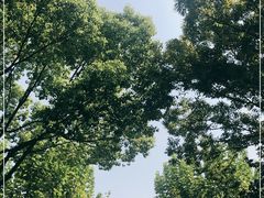 -黄兴公园