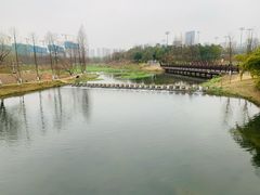 -洋湖国家湿地公园