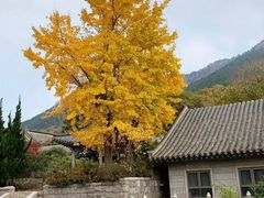-青岛崂山太清宫