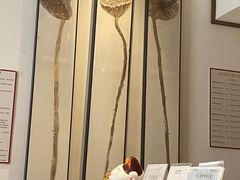 -沐善人家中医·推拿·理疗·三伏灸(新洲店)