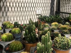 -鹿岛会员店 (龙湖三千集天街店)