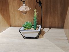 -梵猫·新养生(福州万象城店)
