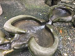 -成都市活水公园