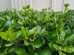 -半岛1919创意园区