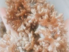 -畲乡一品鱼府土菜馆