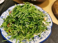-昆虫窝子·特色云南菜(拓东路总店)