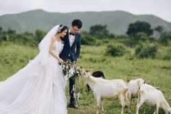 -花漾摄影优选工作室(东莞原创作品店)