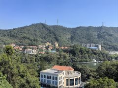 -银湖山郊野公园-相思林