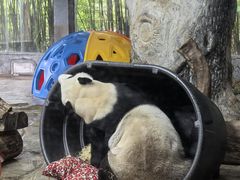 -海南热带野生动植物园