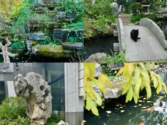 -香然会·园林雅宴(陆家嘴店)