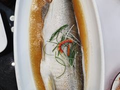 -聚鑫阁江浙菜·非遗传承技艺(闵行交大店)