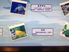 iphone_upload_pic-碧桂园凤凰城酒店(南京店)