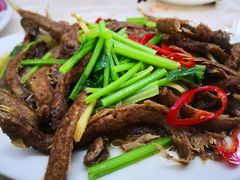 -老三鱼仔店