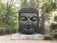 -杭州植物园