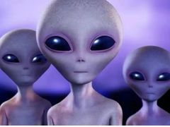 -万达广场(太原街店)