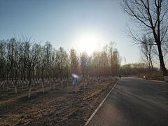 -东郊湿地公园