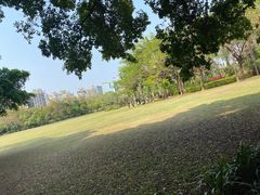 -荔香公园