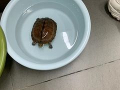 -永太盲人按摩(福田店)