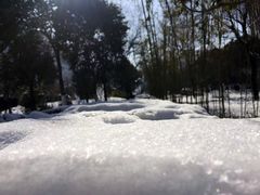 -唐城墙遗址公园