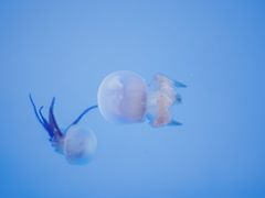 -常州海昌海洋探索馆