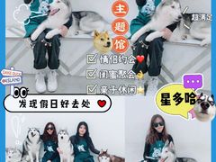 -星多哈·狗咖·拼豆·咖啡