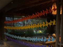 -中家鑫园温泉酒店鑫悦汤泉