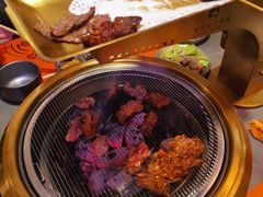 -杨小佳·齐齐哈尔烤肉·烤串(广州店)