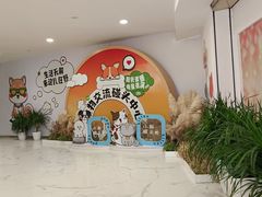 -凯德MALL(望京店)