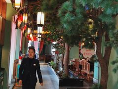 -松沪名灶·豆浆鱼头·新上海菜(飞航吾悦广场店)
