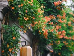 -老门东历史文化街区