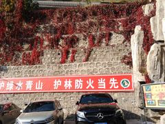 -北京上方山国家森林公园