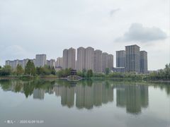-洋湖国家湿地公园