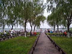 -西青郊野公园
