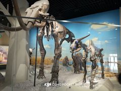 -国家自然博物馆